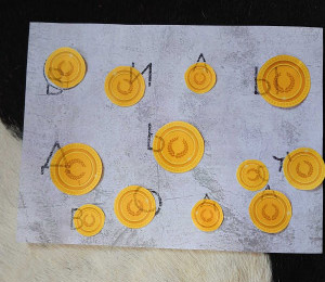 Фотография к отзыву